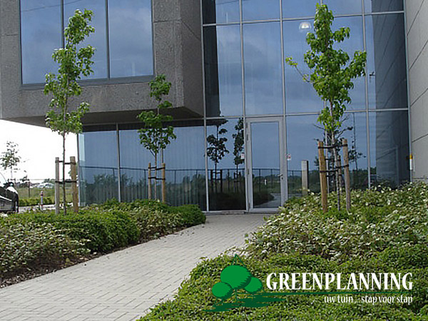 Bedrijfsgroen in Oostende