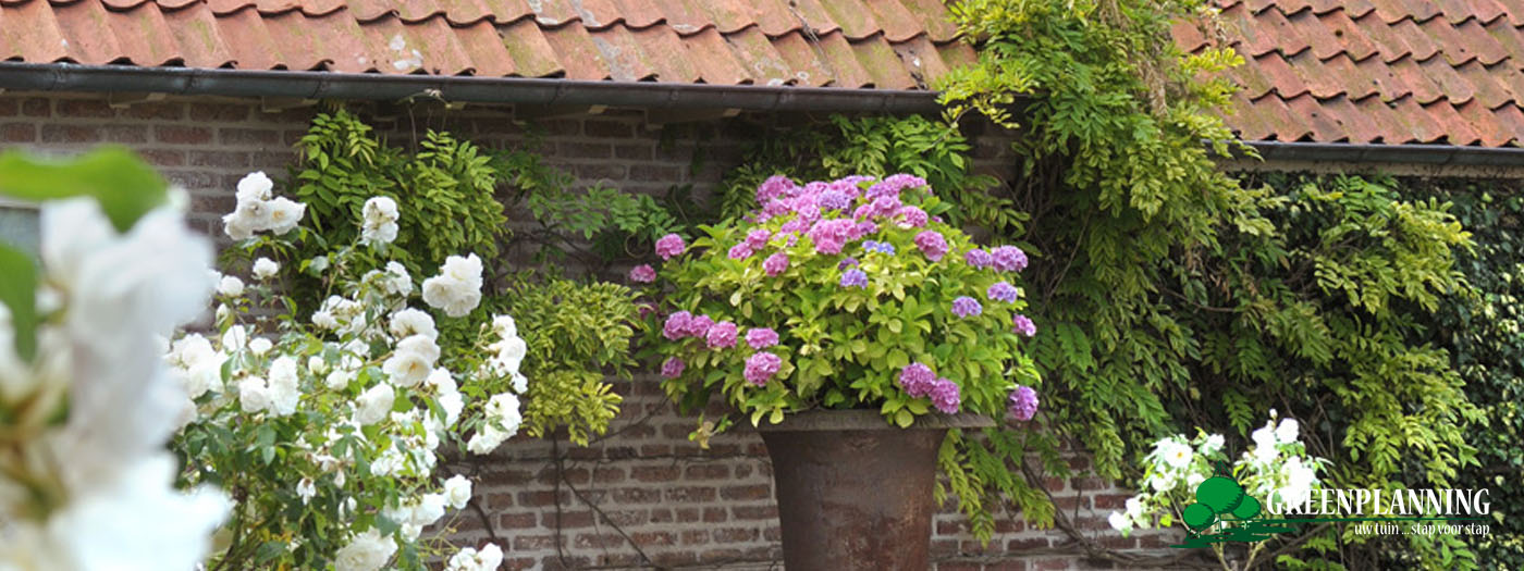 Landelijke tuin in Oostende