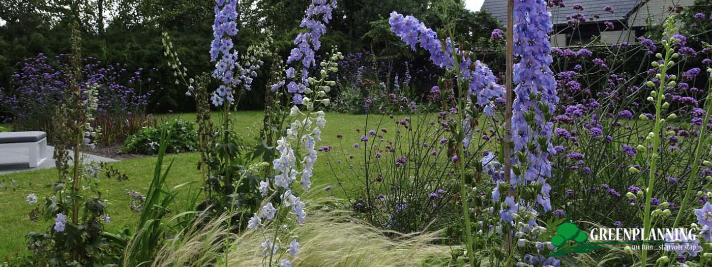 Residentiële tuin in Jabbeke